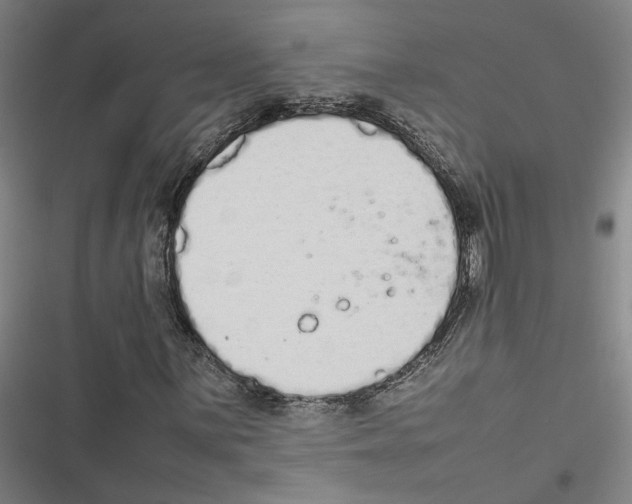 X0000116881059201001191739