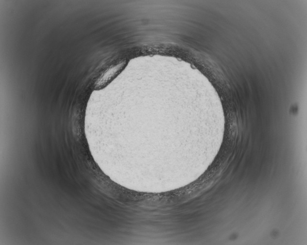 X0000116881060201001191739