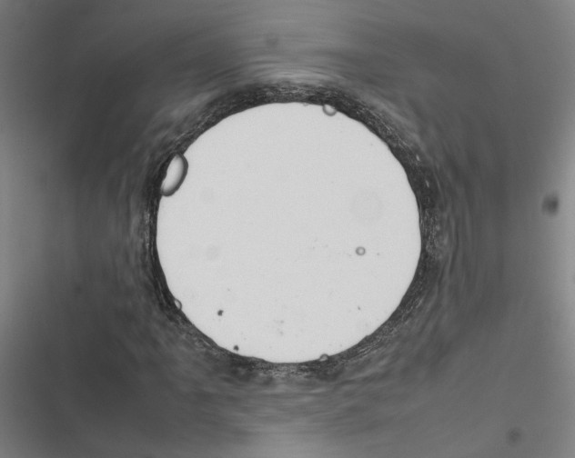 X0000116881061201001191739
