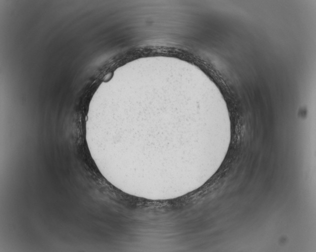 X0000116881062201001191739