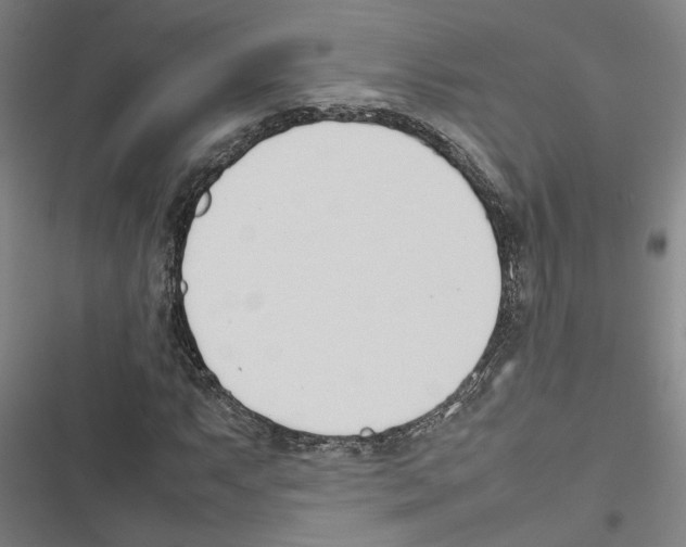 X0000116881063201001191739