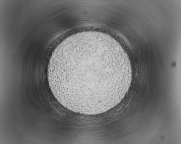 X0000116881064201001191739