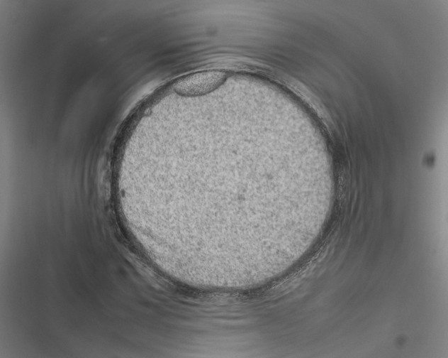 X0000116881067201001191739