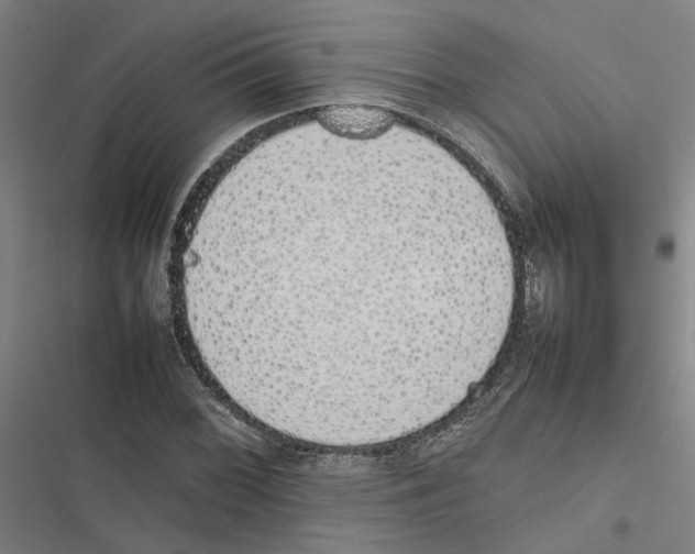 X0000116881068201001191739