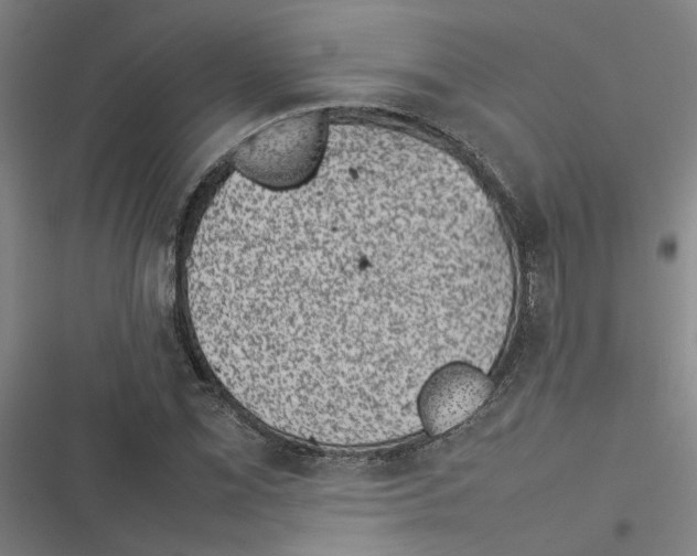 X0000116881069201001191739