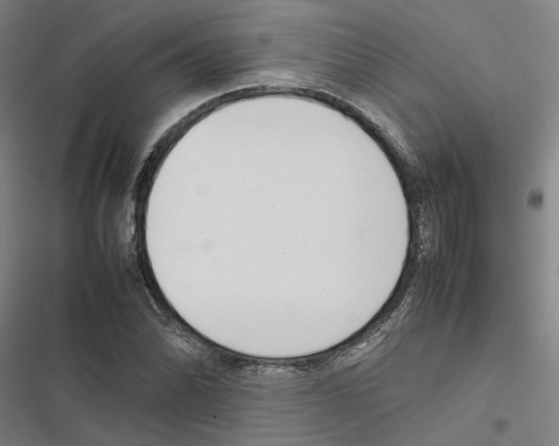 X0000116881070201001191739