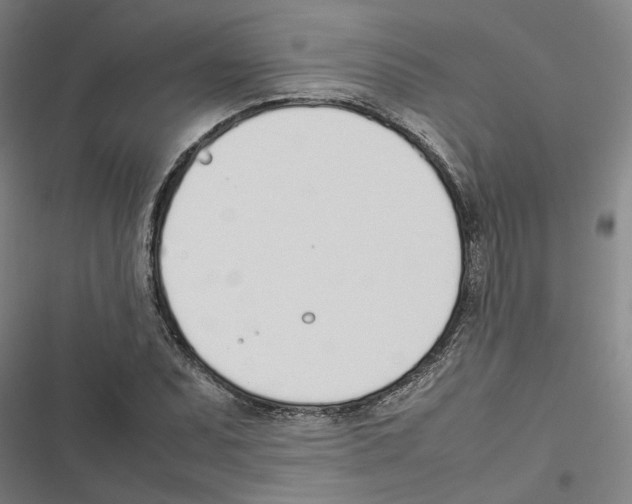 X0000116881071201001191739