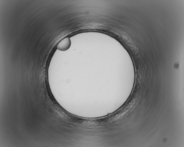 X0000116881073201001191739