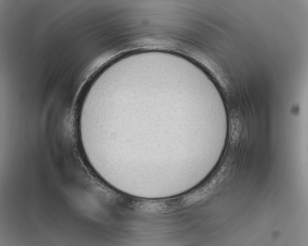 X0000116881074201001191739