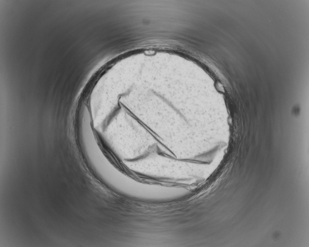 X0000116881075201001191739