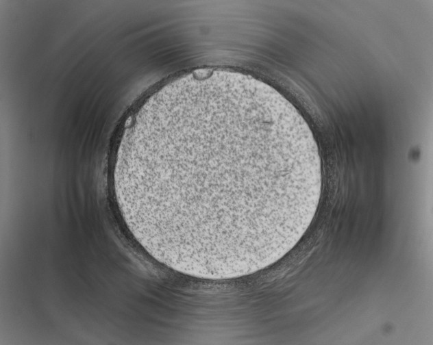 X0000116881076201001191739