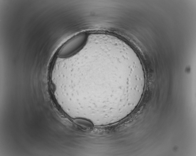 X0000116881077201001191739