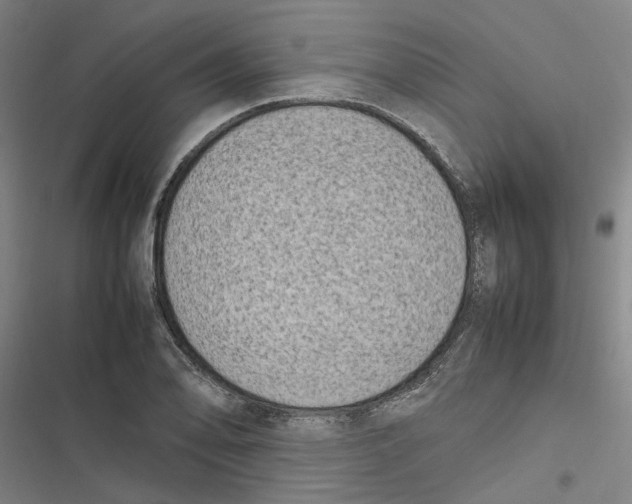 X0000116881078201001191739