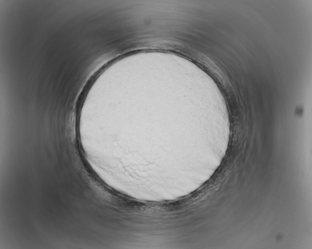 X0000116881079201001191739
