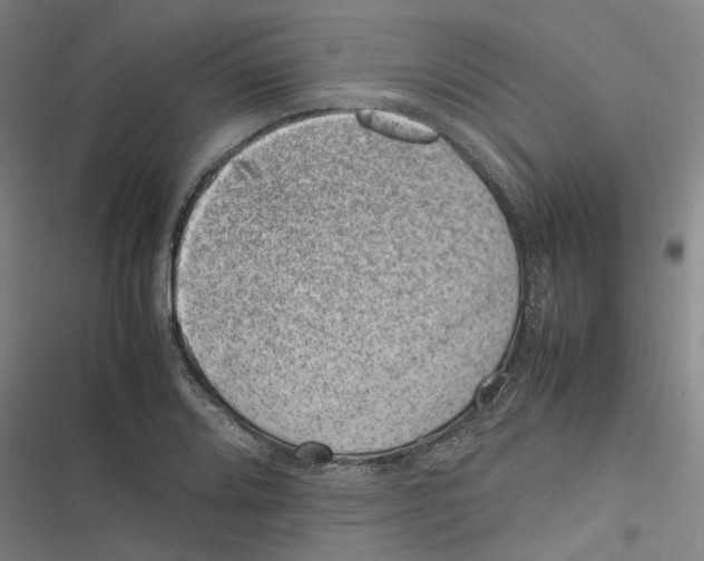 X0000116881080201001191739