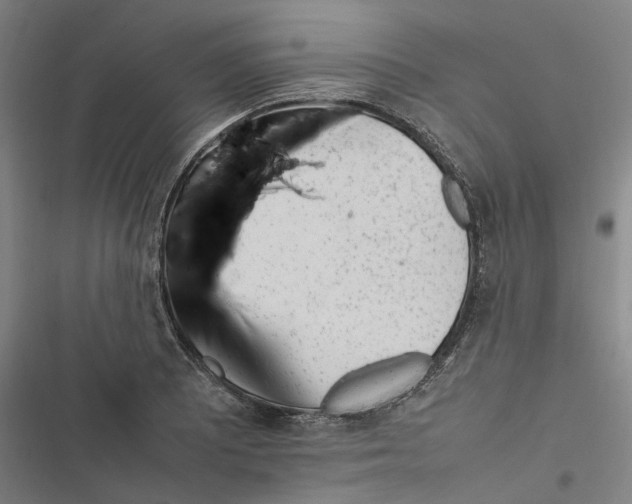 X0000116881081201001191739