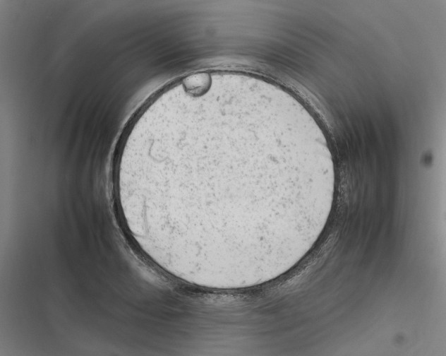 X0000116881082201001191739