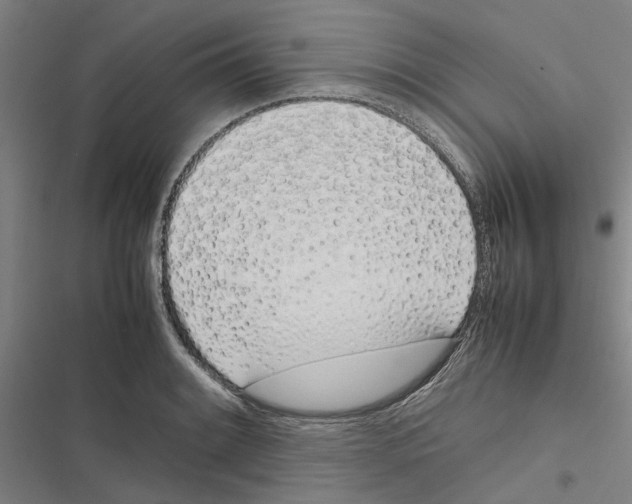 X0000116881084201001191739