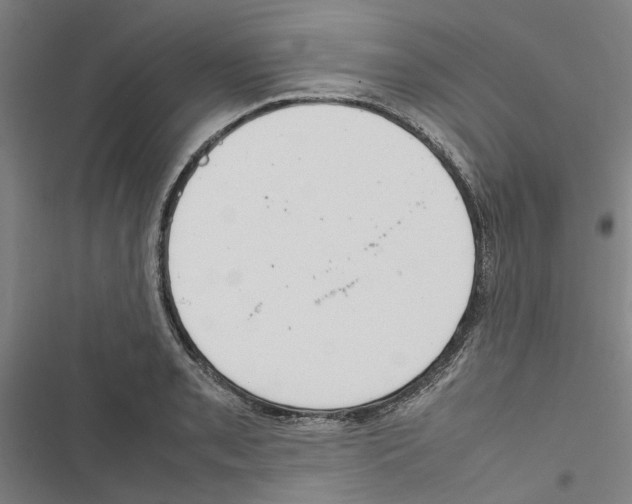 X0000116881085201001191739