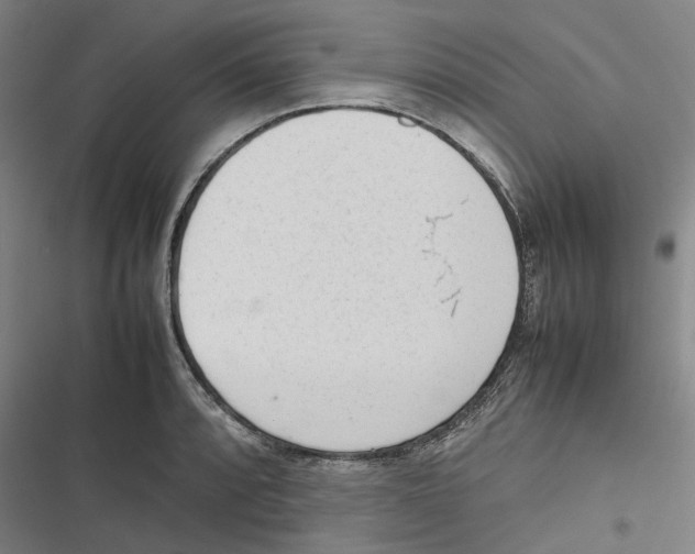 X0000116881088201001191739