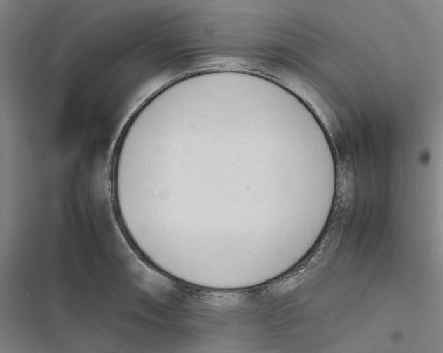 X0000116881090201001191739