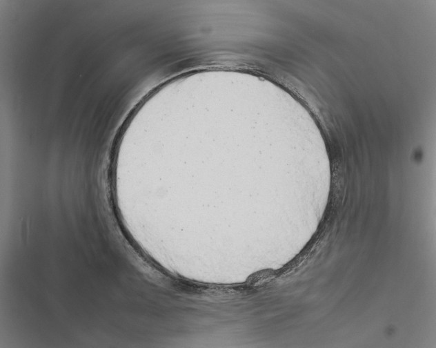 X0000116881091201001191739