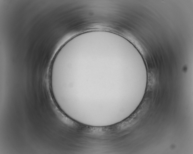 X0000116881098201001191739
