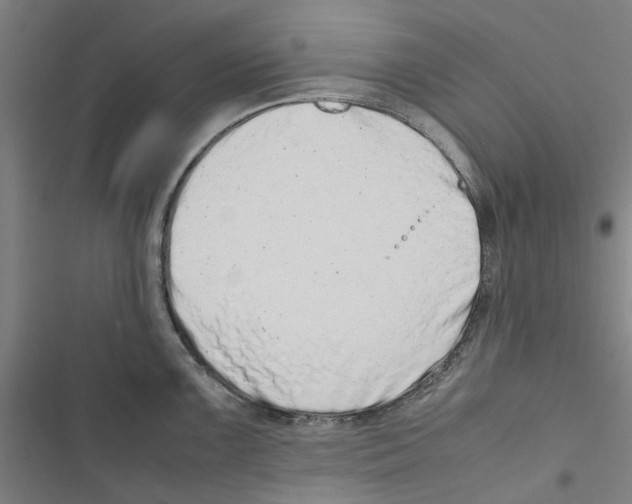 X0000116881099201001191739