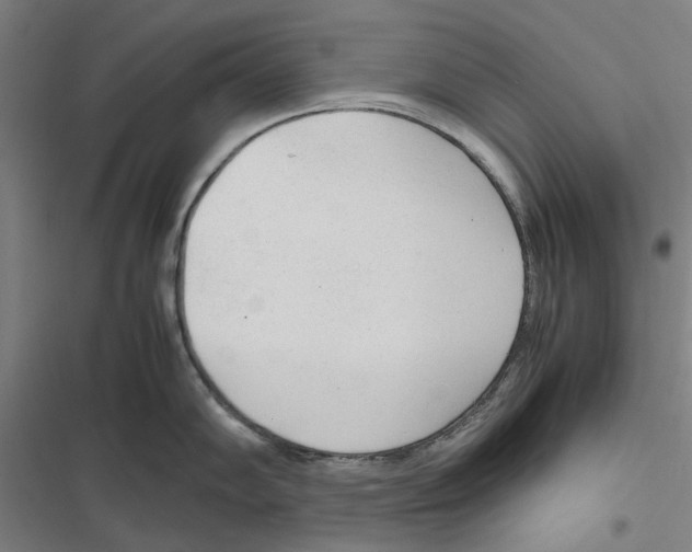 X0000116881102201001191739