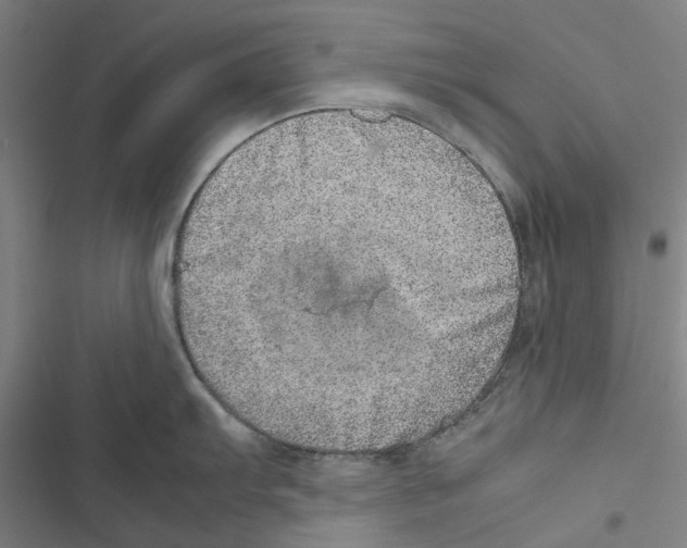 X0000116881103201001191738