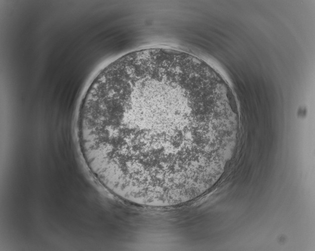 X0000116881104201001191738