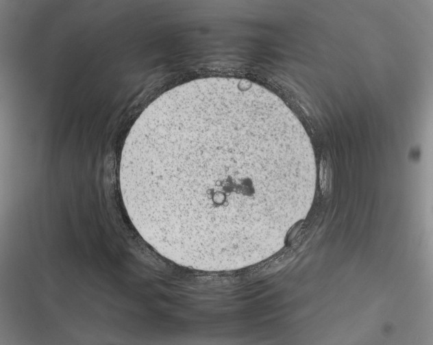 X0000116881107201001191738