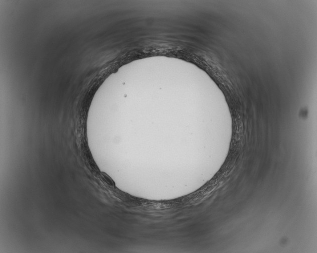 X0000116881109201001191738