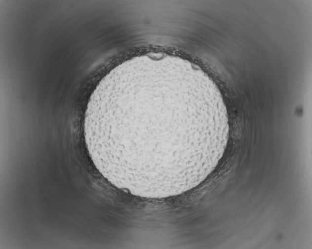 X0000116881110201001191738
