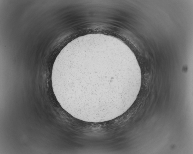 X0000116881111201001191738