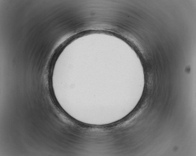 X0000116881114201001191738