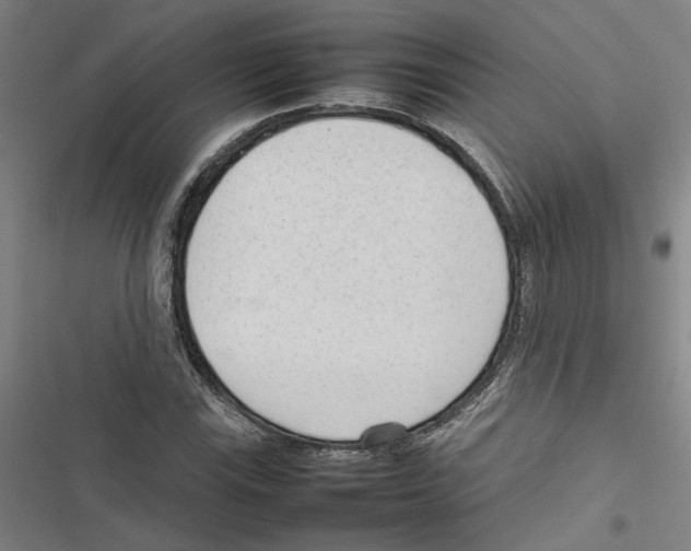 X0000116881115201001191738
