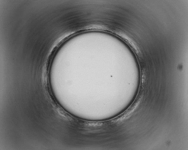 X0000116881117201001191738