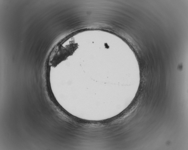 X0000116881122201001191738