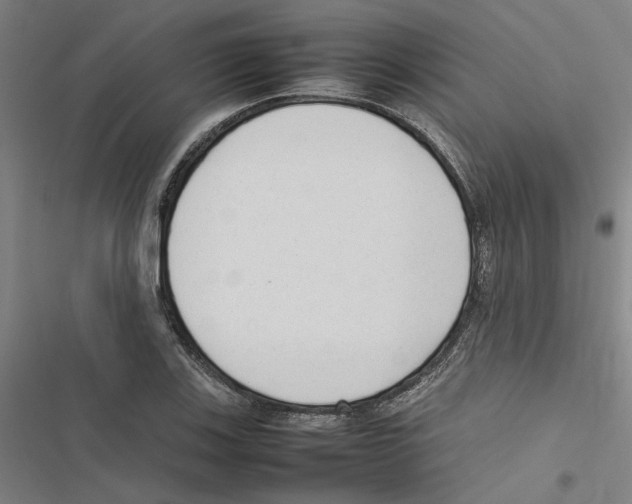 X0000116881123201001191738