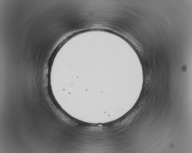 X0000116881126201001191738