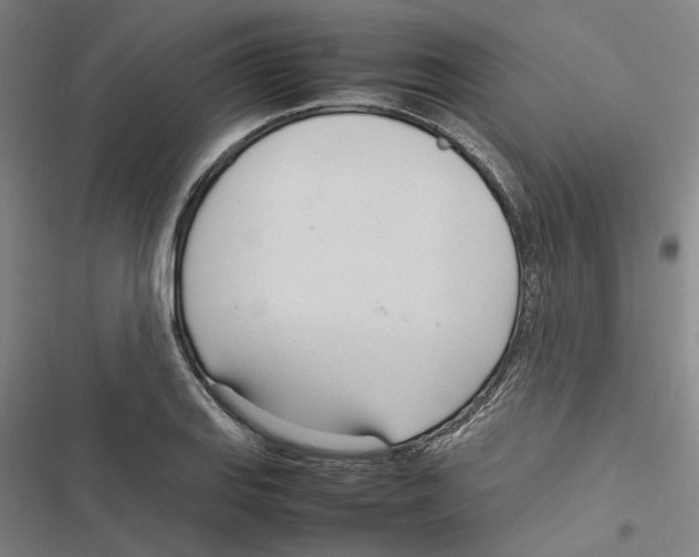 X0000116881127201001191738