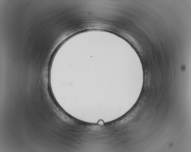 X0000116881130201001191738