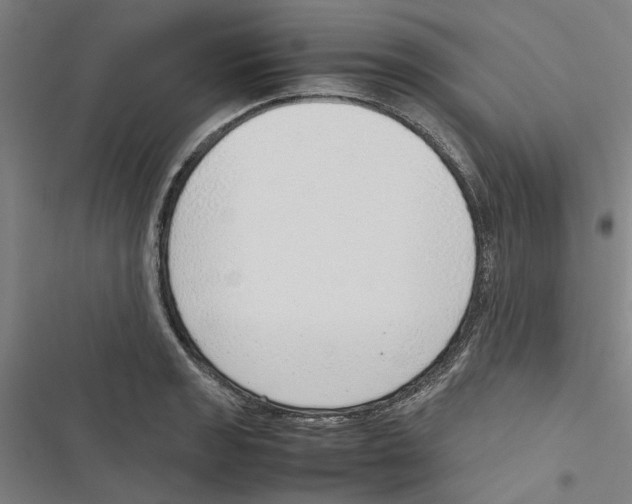 X0000116881133201001191738
