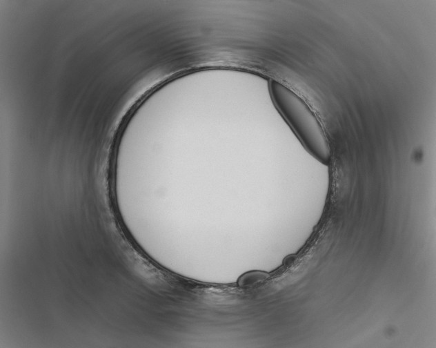 X0000116881138201001191738