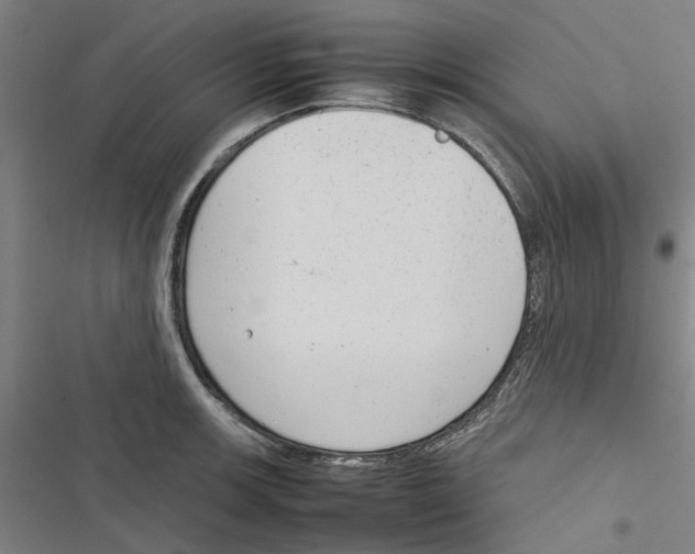X0000116881139201001191738