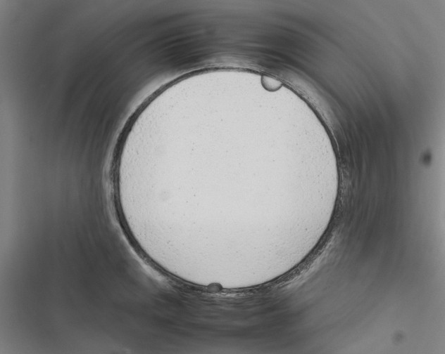 X0000116881141201001191738
