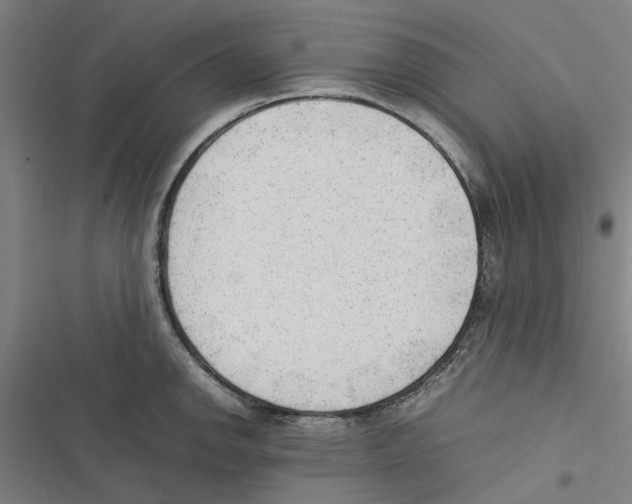 X0000116881142201001191738