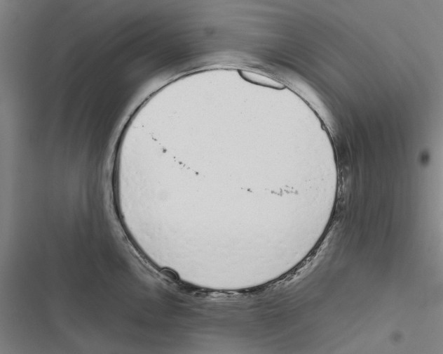 X0000116881146201001191738