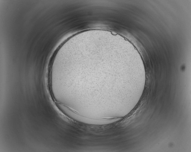 X0000116881147201001191738